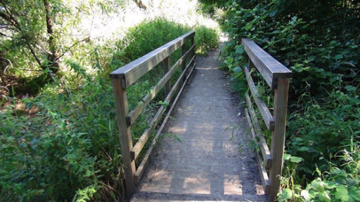 Bridge over stream on natural surface trail